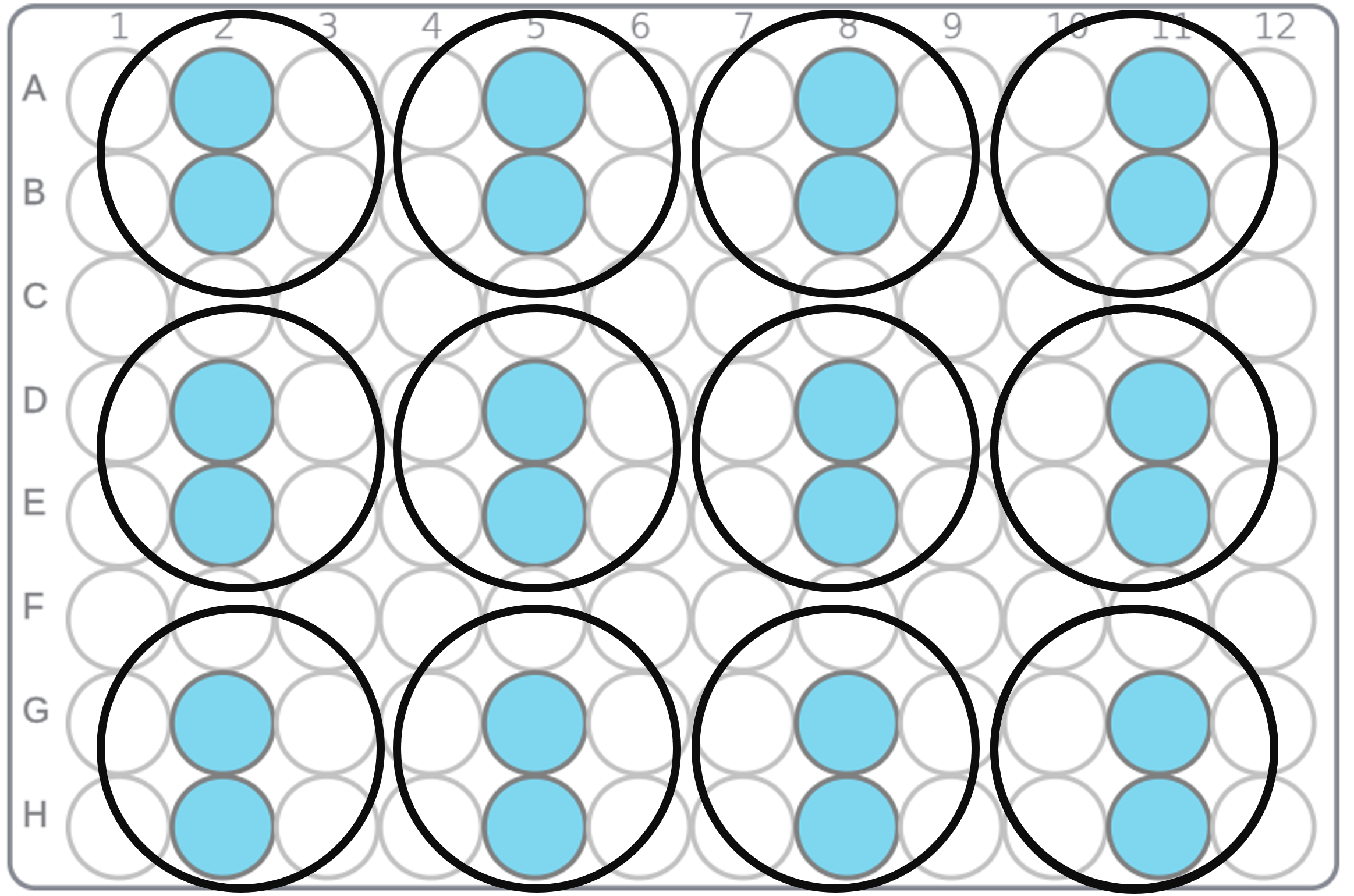 12-well detectors used