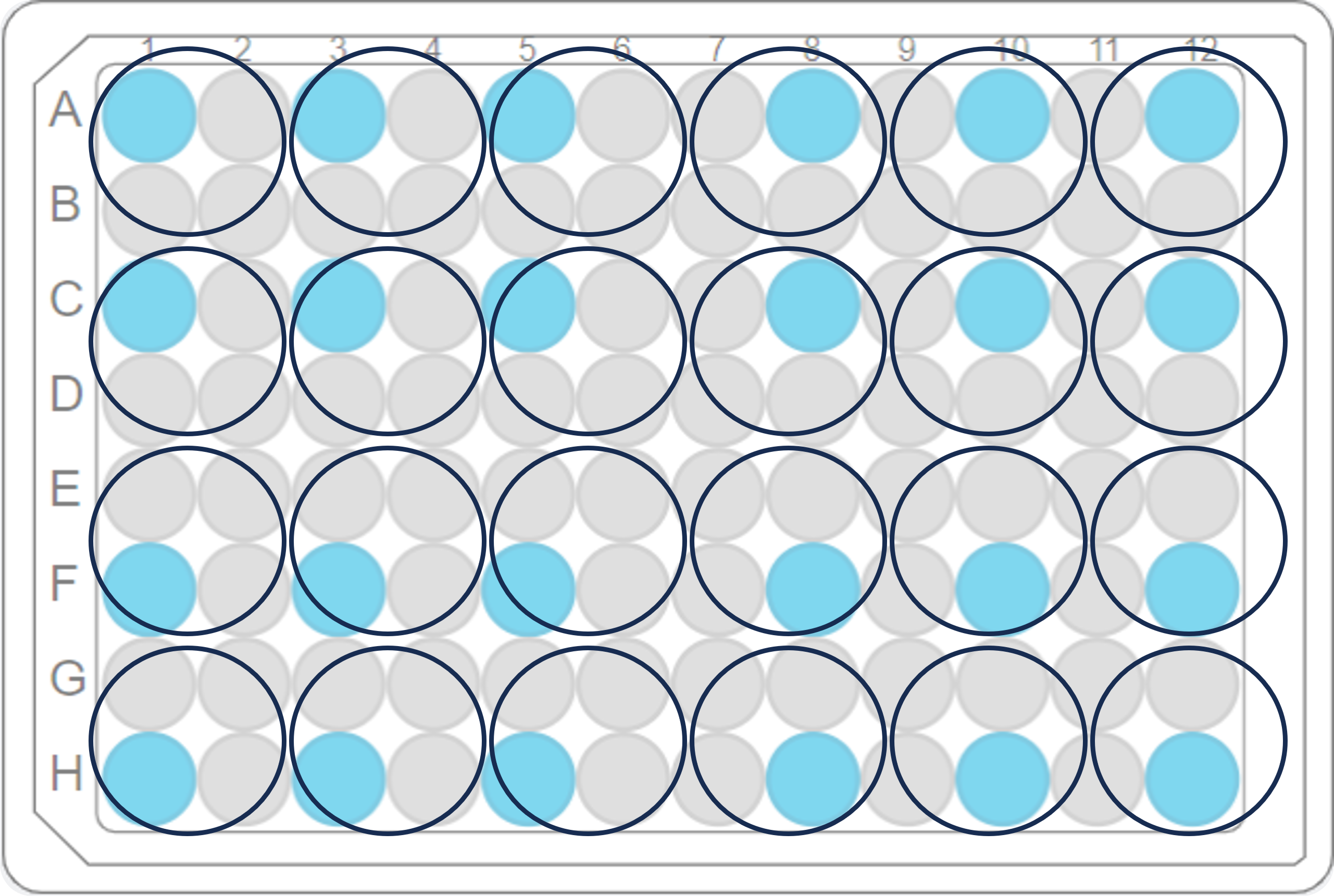 24-well detectors used