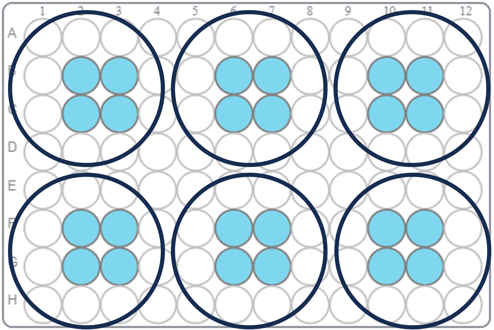 6-well detectors used