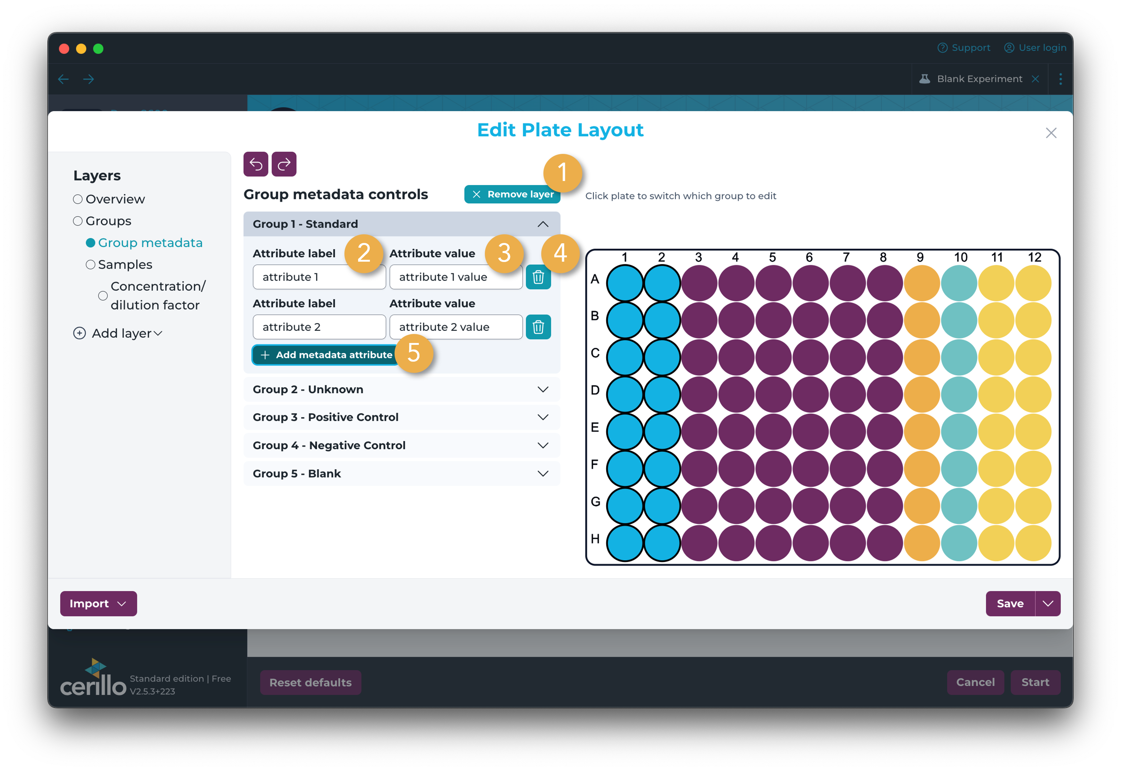 Group Metadata Layer