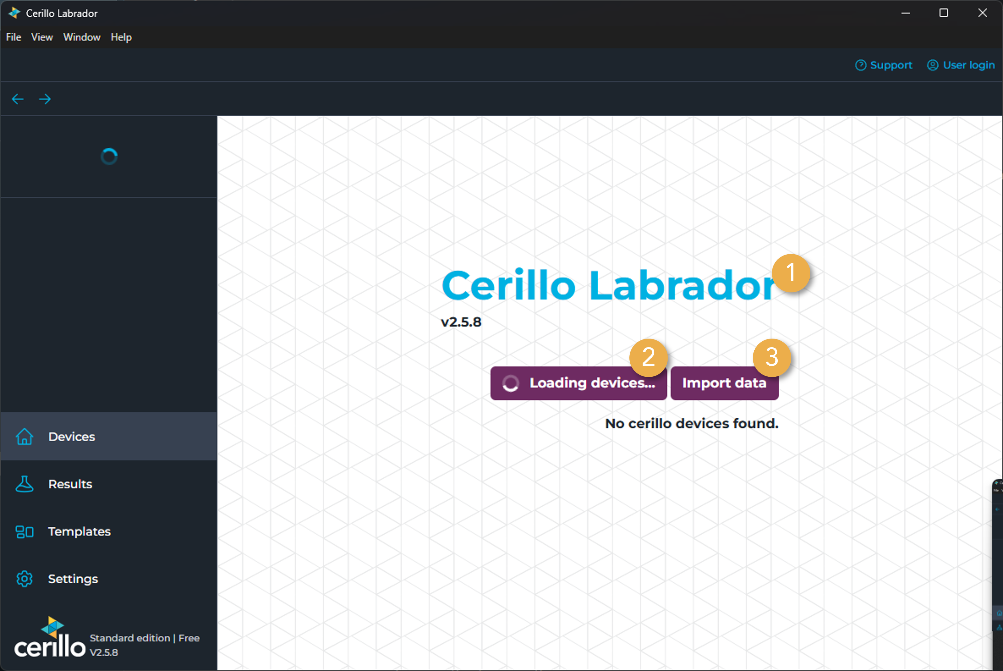Initial Loading Screen